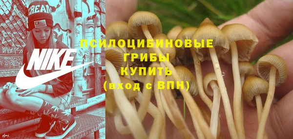 меф VHQ Гусиноозёрск