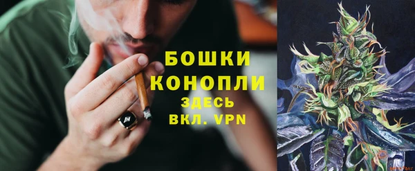 каннабис Гусев