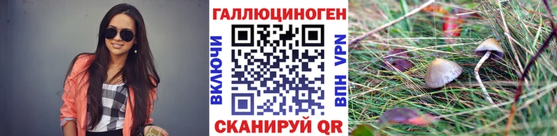 Купить  Заозёрск  Галлюциногенные грибы GOLDEN TEACHER 