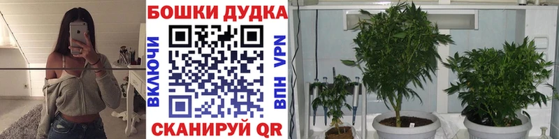Канабис конопля  Купить  Заозёрск 